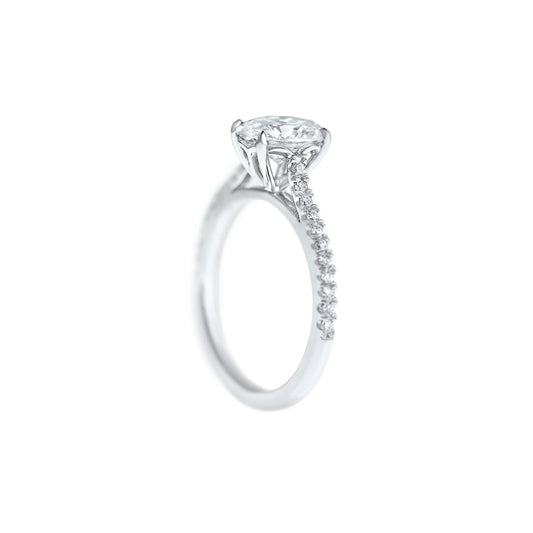 Oval Cut Diamond Engagement Ring diamond band