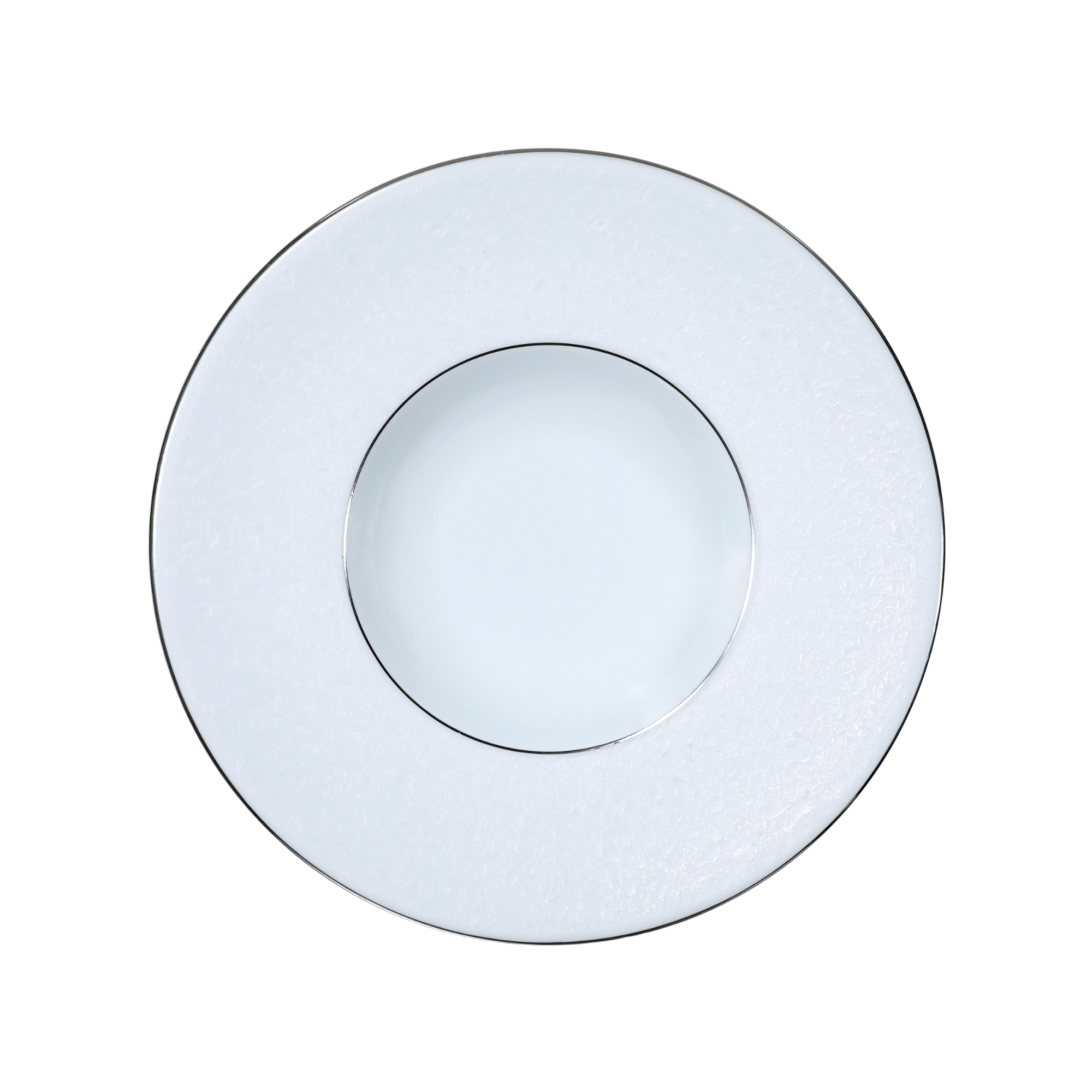 MOONSCAPE LARGE WIDE RIM BOWL PLATINUM
